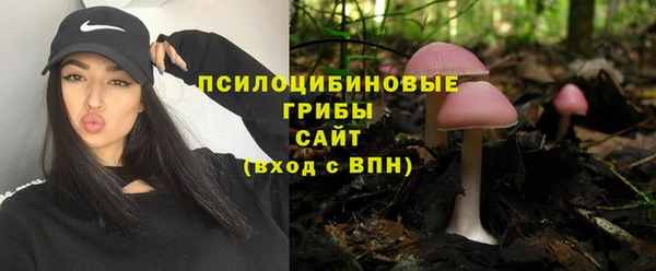 стафф Сясьстрой