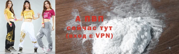 стафф Сясьстрой