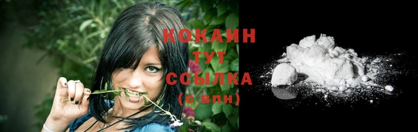 стафф Сясьстрой