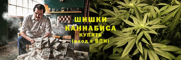 стафф Сясьстрой