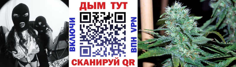 Бошки Шишки THC 21%  дарнет шоп  Ессентукская 